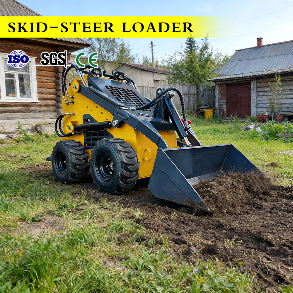 4WD Wheel Skid Steer Loader Co - đánh giá và giá Wheel Loader