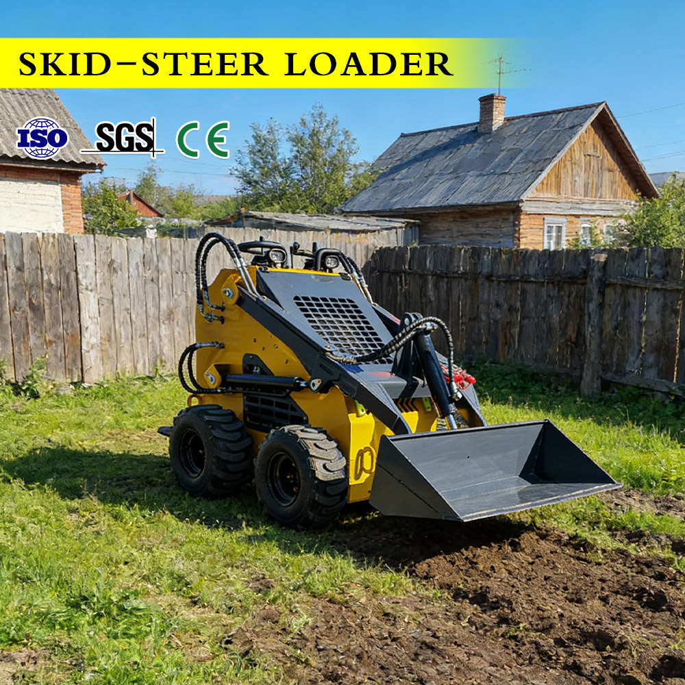 4WD Wheel Skid Steer Loader Co - đánh giá và giá Wheel Loader